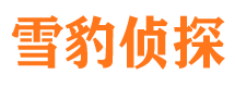 道孚寻人公司